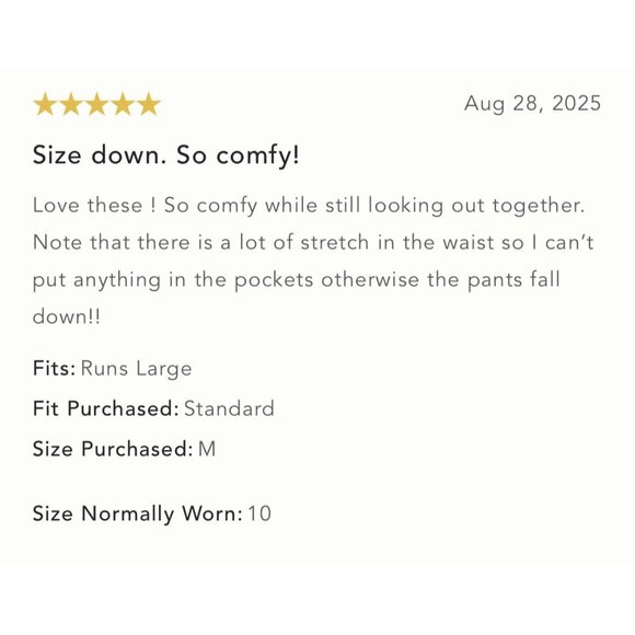 NWT Size L - The Reese Linen Blend Pull-On Barrel Pants Pilcro (NWT US$ 118) - Picture 16 of 16